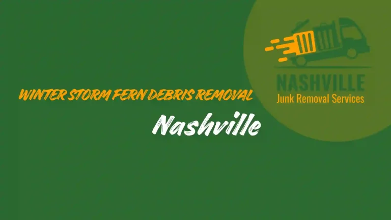 Winter Storm Fern Debris Removal Nashville
